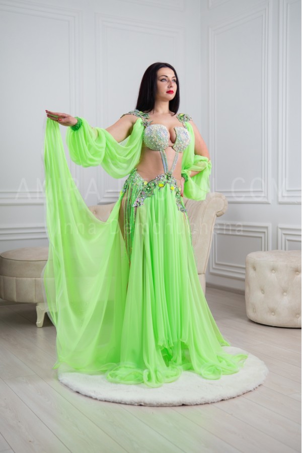 Professional bellydance costume (Classic 297 A_1)